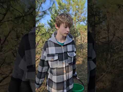 Видео: Прекрасные грибочки 