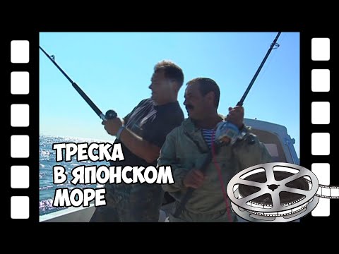 Видео: Рыбалка на треску в Японском море