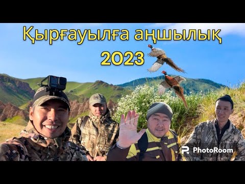 Видео: охота на фазана. Қырғауылға аңшылық 2023