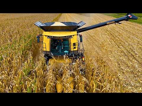 Видео: Урожай кукурузы 2025 года 2X NEW HOLLAND CR REVELATION