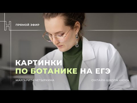 Видео: КАРТИНКИ ПО БОТАНИКЕ, КОТОРЫЕ ТЫ ВСТРЕТИШЬ НА ЕГЭ | НОО