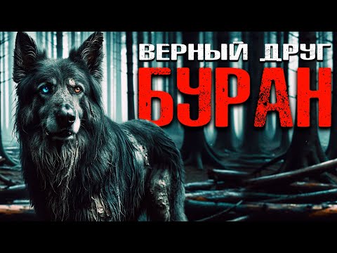 Видео: БУРАН: ВЕРНЫЙ ДРУГ | Таёжные Истории