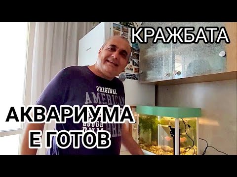 Видео: АРАНЖИРАНЕ И СТАРТИРАНЕ НА СЛАДКОВОДЕН АКВАРИУМ ОТ 40литра! И  ДВЕ ПОУЧИТЕЛНИ ИСТОРИИ ЗА ЖИВОТА!!!