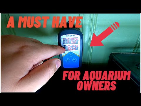 Видео: Быстрый обзор WiFi-контроллера температуры Inkbird ITC-306A