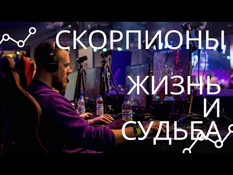 Видео: ЖИЗНЬ СКОРПИОНА И ЕГО СУДЬБА. ЗА ЧТО НЕНАВИДЯТ СКОРПИОНОВ? КАК СОБЛАЗНИТЬ МУЖЧИНУ СКОРПИОНА?