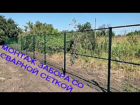 Видео: Монтаж забора со сварной сеткой.