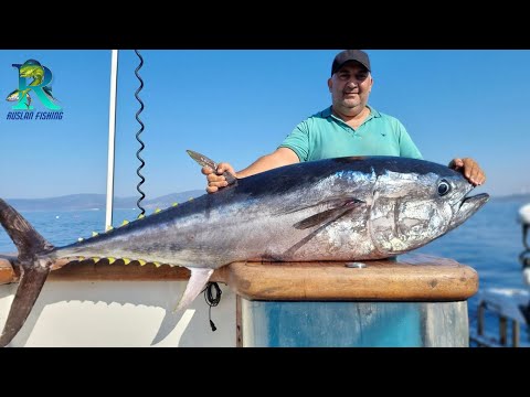 Видео: Рыбалка на Тунца в Турции . Часть  2