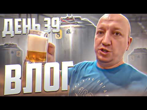 Видео: VLOG с пивоварни день 39