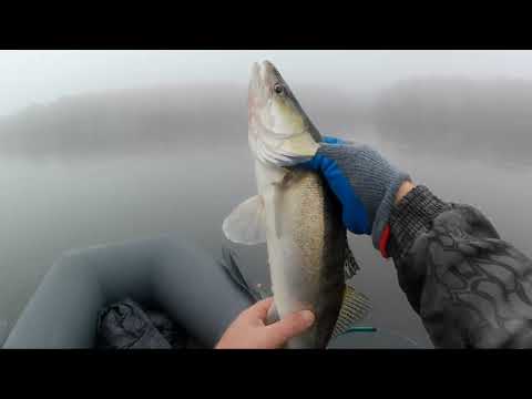 Видео: Утро) #fishing #поклевка #рыбалка #рыбалканаозере #судакнаджиг #судак #окунь #спиннинг #джиг #рыба