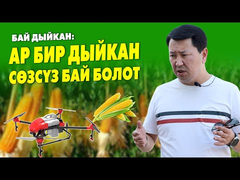 Видео: Мынаке! БИЗ дыйкандарды БАЙЫТУУГА жардам БЕРЕБИЗ ~ Бай Дыйкан