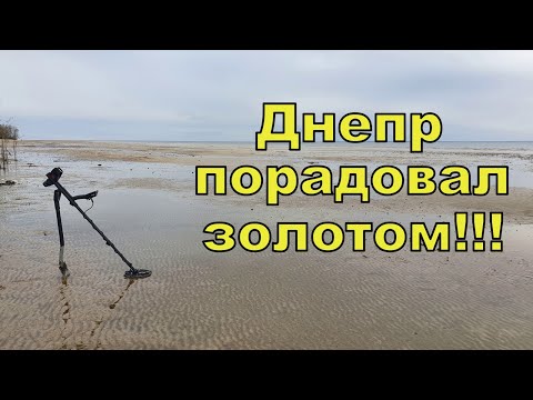 Видео: Подняли золото со дна Днепра! Поиск с NOKTA Anfibio Multi! Фильм 178