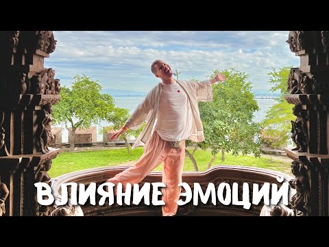 Видео: ВЛИЯНИЕ ЭМОЦИЙ НА НАШУ ЖИЗНЬ