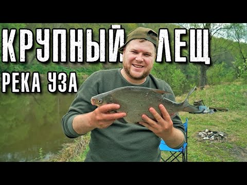 Видео: ДИКИЙ КЛЕВ леща на фидер. Шурпа в казане на природе. Рыбная ловля леща на реке