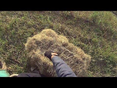 Видео: ЯблочноПылевой Продубас #2