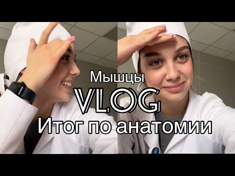 Видео: VLOG КАК Я СДАЛА ИТОГ ПО МЫШЦАМ ?