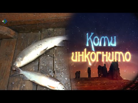 Видео: Коми инкогнито. Рыбалка на Оби и Щучьей. 30.09.2023