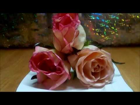 Видео: Как продлить жизнь цветам Розы в воске! Preserving Roses in wax