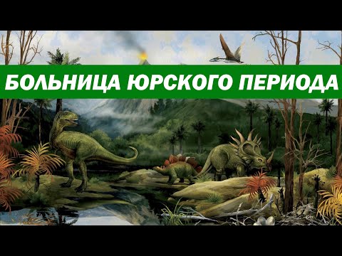 Видео: От чего лечились в Мезозойскую эру?