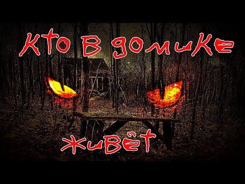 Видео: НОЧЬ в МЁРТВОЙ деревне! Часть 2.