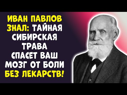 Видео: ИВАН ПАВЛОВ: Древний метод для ЯСНОЙ ГОЛОВЫ! Я ОБЕЩАЮ!