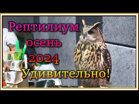 Видео: РЕПТИЛИУМ Осень 2024