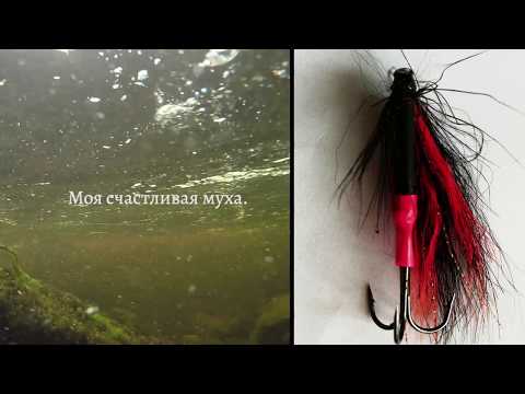 Видео: СЁМГА 9 кг.КОЛЬСКИЙ река ПЕЧЕНГА 2018