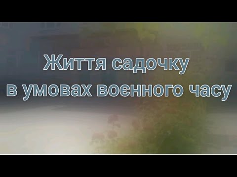 Видео: Життя нашого садочку в умовах воєнного часу.