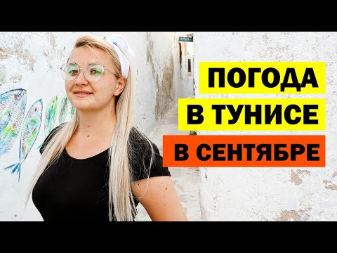 Видео: Погода в Тунисе в сентябре. Температура воды в море в Тунисе