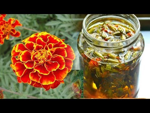 Видео: Улучшит зрение. Лечит псориаз, печень, поджелудочную - отвар бархатцев. Не цветы, а золото!