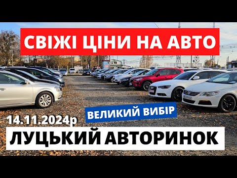 Видео: ЛУЦЬКИЙ АВТОРИНОК / НАЙСВІЖІШІ ПРОПОЗИЦІЇ / 14.11.24р #луцькийавторинок  #автопідбірлуцьк #автобазар