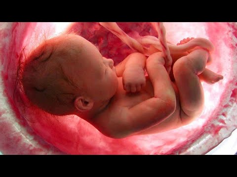 Видео: БАЛА ҚАЛАЙ ПАЙДА БОЛАДЫ ?