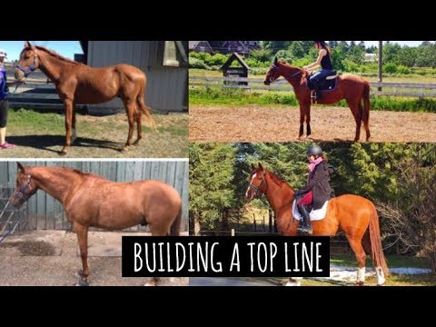 Видео: СОЗДАНИЕ ВЕРХНЕЙ ЛИНИИ