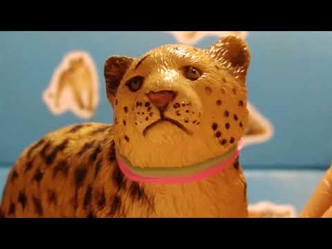 Видео: моя коллекция диких кошек