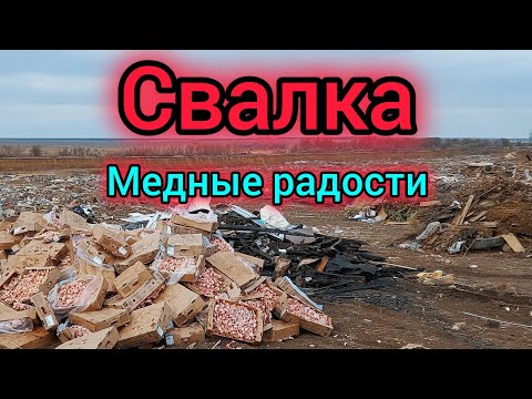 Видео: МЕДНЫЕ НАХОДКИ НА СВАЛКЕ РАДУЮТ