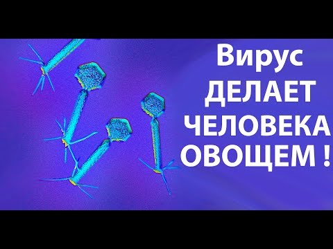 Видео: Вот как выглядит самый ужасный вирус на планете !