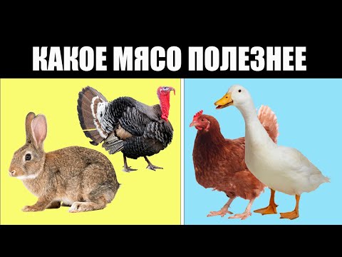 Видео: Какое мясо безопаснее для здоровья: выбираем правильно