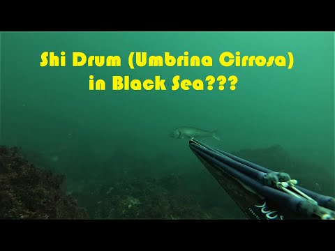 Видео: Минокопи в Черно Море???