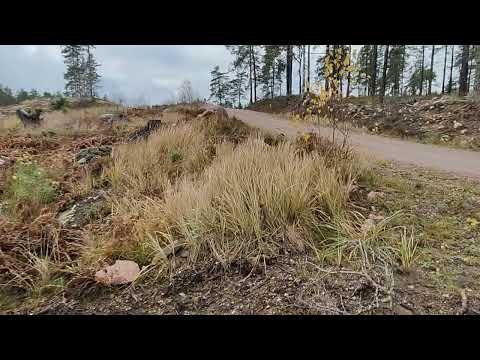 Видео: Чернота или Мрак. 1 .11; 11 Лунный День.