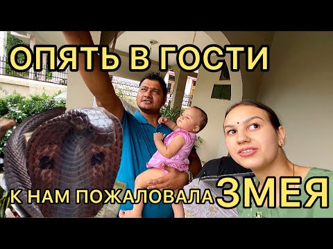 Видео: В гости к родной сестре свекрови. Уж змею мы никак не ожидали увидеть