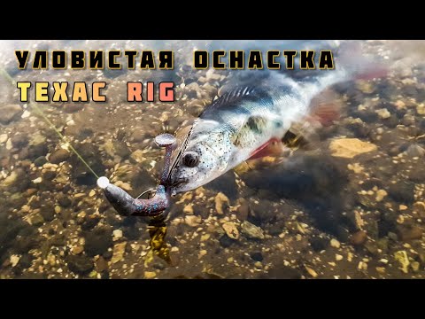 Видео: ТЕХАССКАЯ ОСНАСТКА В ДЕЛЕ! ДЖИГ ПРОВОДКА и ЛОВЛЯ ОКУНЯ, рыбалка осенью в ноябре 2020 в ТОЛЬЯТТИ