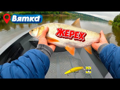 Видео: Рыбалка на жереха и окуня на реке Вятка. Вятские Поляны, Красная осыпь, красивая природа!