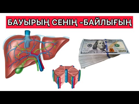 Видео: Бауыр ауруының белгілері және оның емі