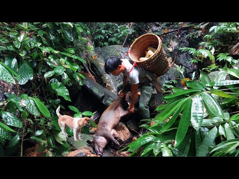Видео: В поисках еды я увидел незадачливого кабана. 1 год одинокой жизни вне сети в лесу