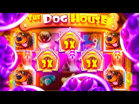 Видео: ЭТО БЫЛ МОЙ САМЫЙ КРУПНЫЙ ЗАНОС В THE DOG HOUSE 🔥