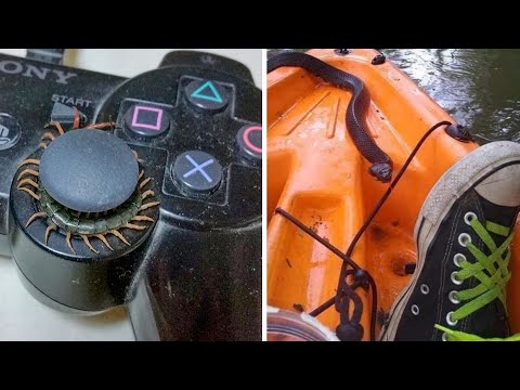 Видео: Природа показала кто тут главный!