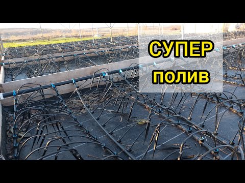 Видео: Индивидуальный полив контейнерных саженцев стрелками