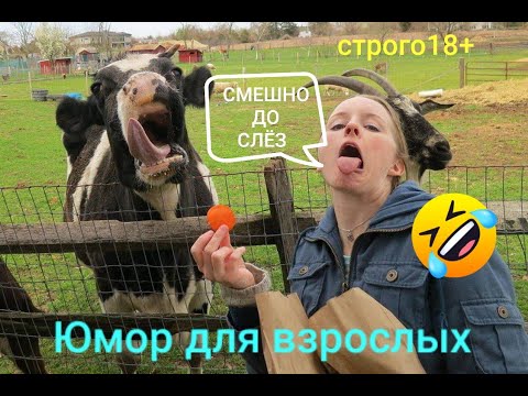 Видео: Смешные😂Smile😂Подборка весёлых видео😂Prank😂Я ржал до слёз 😂10 мин юмора😂Лучшие #приколы 😂