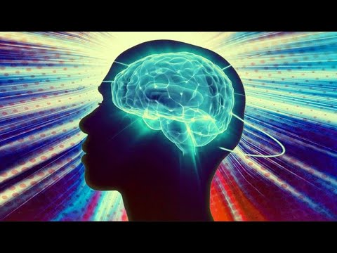 Видео: Мифы и заблуждения о мозге (рассказывает Ольга Сварник)