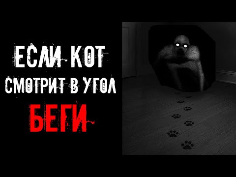 Видео: КОШКА СМОТРИТ В УГОЛ КАЖДУЮ НОЧЬ… | Страшилки на ночь
