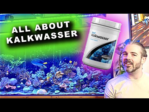 Видео: Все о Кальквассере